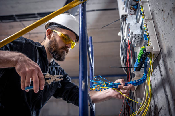Best Electric Panel Repair  in Santa Anna, TX